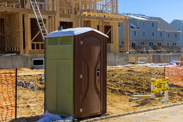 Best Porta potty cleaning services  in Steelevle, IL